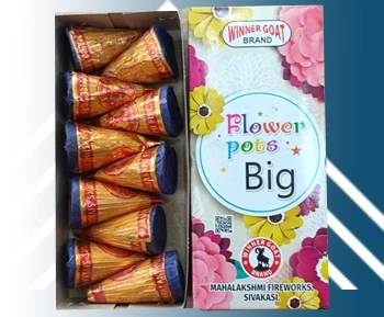FLOWER POTS BIG